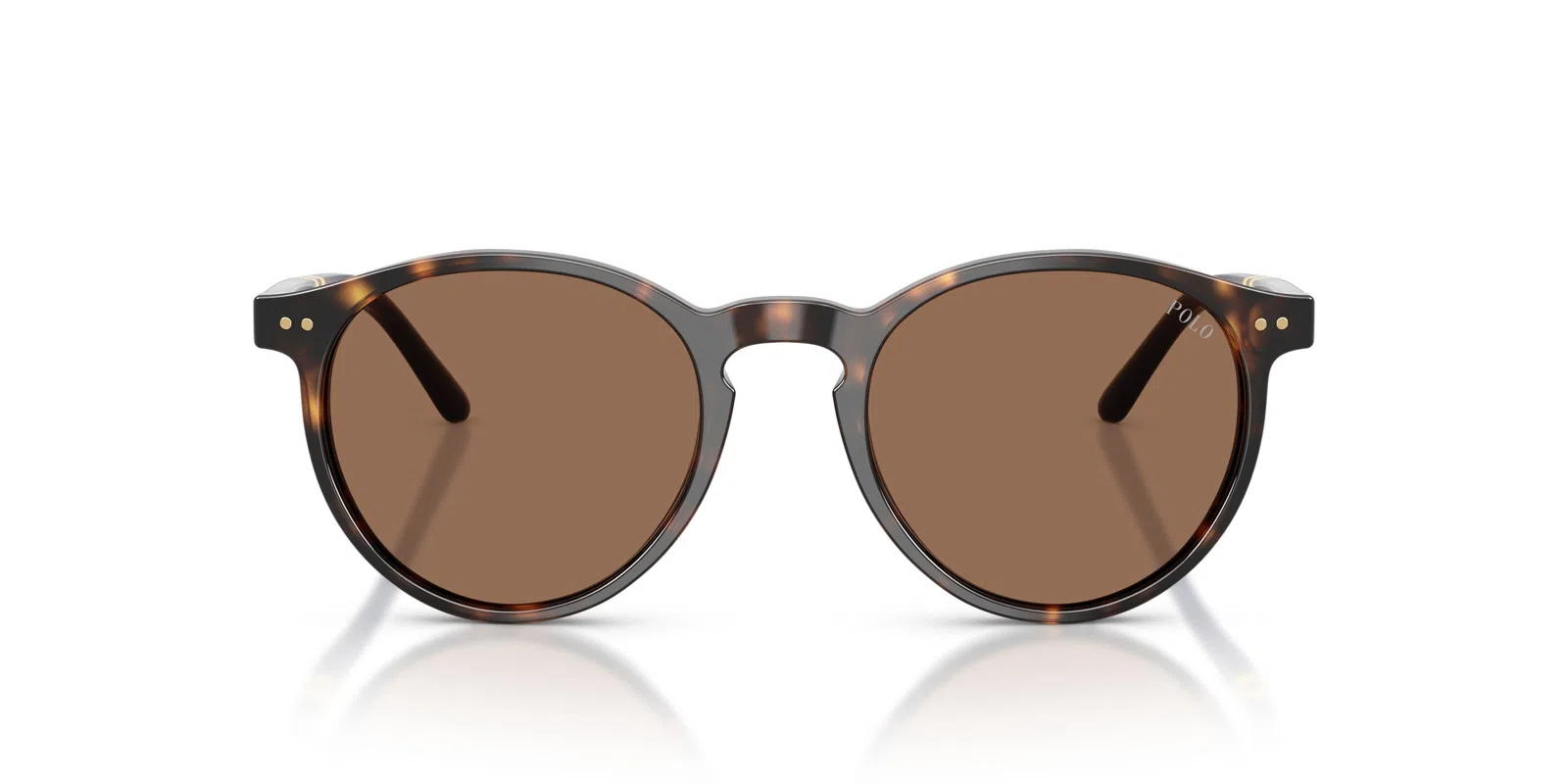Polo 4236 Sunglasses - view 23